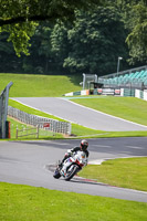 Lower Group White Bikes